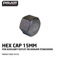 Hex Cap 15mm for Auxiliary Outlet on Shower Stanchions